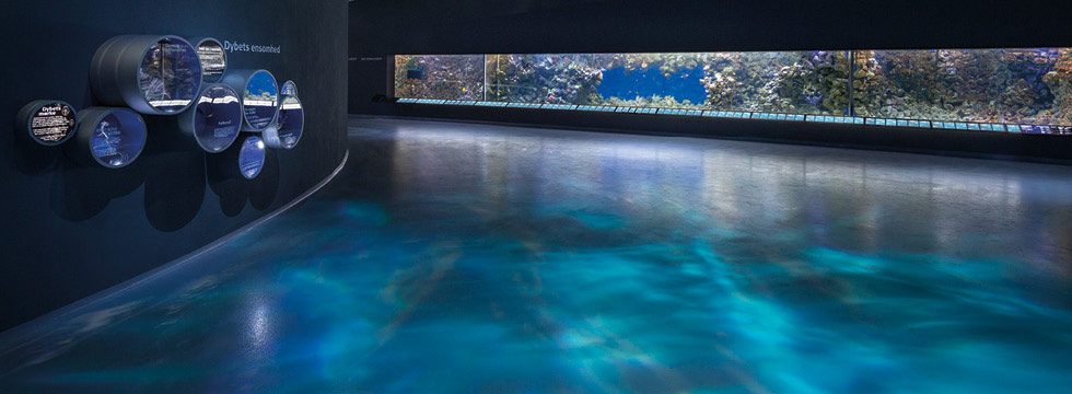 Blue Planet Aquarium